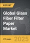 Glass Fiber Filter Paper - Global Strategic Business Report - Product Thumbnail Image