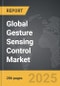 Gesture Sensing Control - Global Strategic Business Report - Product Thumbnail Image