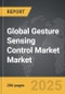 Gesture Sensing Control Market - Global Strategic Business Report - Product Thumbnail Image