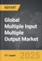 Multiple Input Multiple Output - Global Strategic Business Report - Product Thumbnail Image