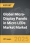 Micro-Display Panels in Micro LEDs Market - Global Strategic Business Report - Product Thumbnail Image