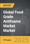 Food Grade Antifoams Market - Global Strategic Business Report - Product Thumbnail Image