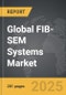 FIB-SEM Systems - Global Strategic Business Report - Product Thumbnail Image
