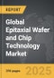 Epitaxial Wafer and Chip Technology - Global Stategic Business Report - Product Thumbnail Image