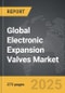 Electronic Expansion Valves - Global Strategic Business Report - Product Thumbnail Image