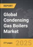 Condensing Gas Boilers - Global Strategic Business Report- Product Image