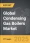 Condensing Gas Boilers - Global Strategic Business Report - Product Thumbnail Image