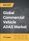 Commercial Vehicle ADAS - Global Strategic Business Report - Product Thumbnail Image