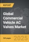 Commercial Vehicle AC Valves - Global Strategic Business Report - Product Thumbnail Image