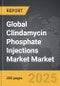Clindamycin Phosphate Injections Market - Global Strategic Business Report - Product Thumbnail Image