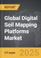 Cadmium Telluride Photovoltaics - Global Strategic Business Report - Product Thumbnail Image