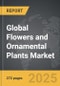 Flowers and Ornamental Plants - Global Strategic Business Report - Product Thumbnail Image