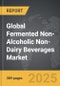 Fermented Non-Alcoholic Non-Dairy Beverages - Global Strategic Business Report - Product Thumbnail Image