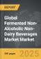 Fermented Non-Alcoholic Non-Dairy Beverages Market - Global Strategic Business Report - Product Image