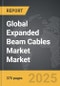 Expanded Beam Cables Market - Global Strategic Business Report - Product Thumbnail Image