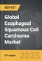 Esophageal Squamous Cell Carcinoma - Global Strategic Business Report - Product Thumbnail Image