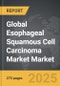 Esophageal Squamous Cell Carcinoma Market - Global Strategic Business Report - Product Thumbnail Image