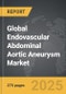 Endovascular Abdominal Aortic Aneurysm (AAA) - Global Strategic Business Report - Product Thumbnail Image