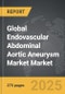 Endovascular Abdominal Aortic Aneurysm (AAA) Market - Global Strategic Business Report - Product Thumbnail Image