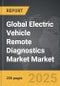 Electric Vehicle Remote Diagnostics Market - Global Strategic Business Report - Product Thumbnail Image