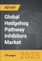 Electric Two-Wheeler Components - Global Strategic Business Report - Product Thumbnail Image