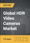 Elderberry - Global Strategic Business Report - Product Thumbnail Image