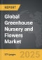 Domiciliary Insurance - Global Strategic Business Report - Product Thumbnail Image