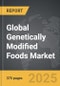 Digital Video Content - Global Strategic Business Report - Product Thumbnail Image