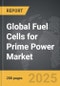 Dental Service Organizations - Global Strategic Business Report - Product Thumbnail Image