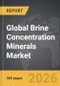 Brine Concentration Minerals - Global Strategic Business Report - Product Thumbnail Image
