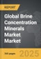 Brine Concentration Minerals Market - Global Strategic Business Report - Product Image