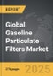 Gasoline Particulate Filters - Global Strategic Business Report - Product Image