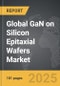 GaN (Gallium Nitride) on Silicon (Si) Epitaxial (EPI) Wafers - Global Strategic Business Report - Product Thumbnail Image