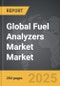 Fuel Analyzers Market - Global Strategic Business Report - Product Image