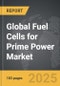 Fuel Cells for Prime Power - Global Strategic Business Report - Product Thumbnail Image