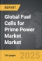 Fuel Cells for Prime Power Market - Global Strategic Business Report - Product Thumbnail Image
