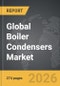 Boiler Condensers - Global Strategic Business Report - Product Thumbnail Image