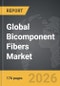 Bicomponent Fibers - Global Strategic Business Report - Product Thumbnail Image