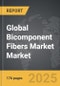 Bicomponent Fibers Market - Global Strategic Business Report - Product Thumbnail Image