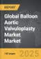 Balloon Aortic Valvuloplasty Market - Global Strategic Business Report - Product Thumbnail Image