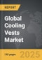Balloon Aortic Valvuloplasty - Global Strategic Business Report - Product Thumbnail Image