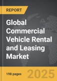 Automotive Two-Post Lifts - Global Strategic Business Report- Product Image