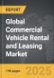 Automotive Two-Post Lifts - Global Strategic Business Report - Product Thumbnail Image