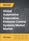 Automotive Evaporative Emission Control Systems Market - Global Strategic Business Report - Product Thumbnail Image