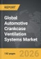 Automotive Crankcase Ventilation Systems - Global Strategic Business Report - Product Thumbnail Image