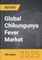 Automatic Curtains - Global Strategic Business Report - Product Image