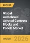 Autoclaved Aerated Concrete (AAC) Blocks and Panels - Global Strategic Business Report - Product Image