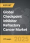 Auger Drilling - Global Strategic Business Report - Product Thumbnail Image