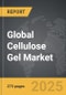 Asthma Monitoring Devices - Global Strategic Business Report - Product Thumbnail Image