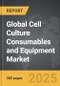 Asset Servicing - Global Stategic Business Report - Product Thumbnail Image